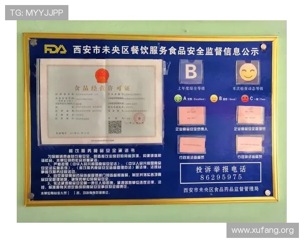 凯发线上地址苹果版下载安全指南，保障用户个人信息与资金安全的全面措施