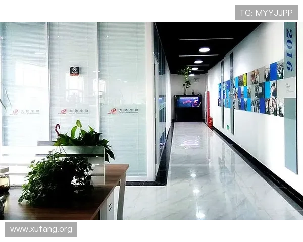 k8凯发旗舰厅官网登录入口：官方入口安全登录指南，保障玩家账号信息和资金安全