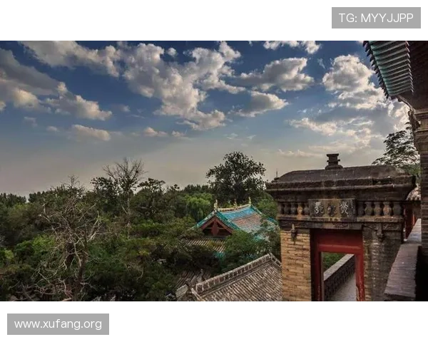 皇家真人打百家 皇家真人打百家
