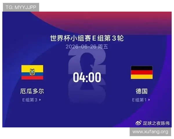 厄瓜多尔对德国小组赛中的淘汰规则和积分排名影响因素全面解读 厄瓜多尔对德国小组赛中的淘汰规则和积分排名影响因素全面解读